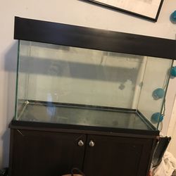 Fish Tank 28 Gal
