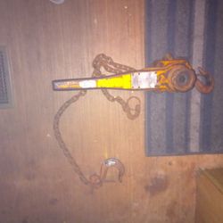 Beebe Bros Inc  Motor Hoist 1 1/4 Ton 6ft Chain