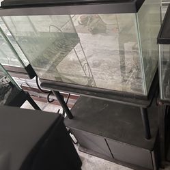 20 Gallon Fish Tank And Wooden Stand And Filter 