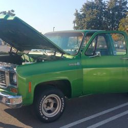 1974 Chevy Side Step Short Bed
