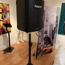 Roland Portable Amplifier speaker, Live Sound Battery Optional   BA-330
