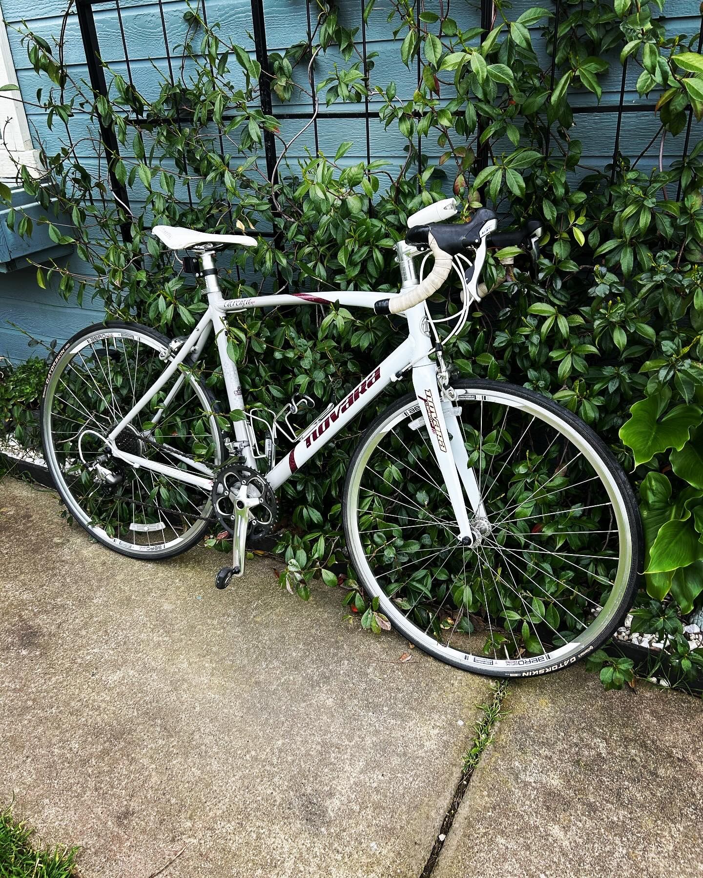 NOVARA CAREMA PRO ROAD BIKE 700cc Wheels