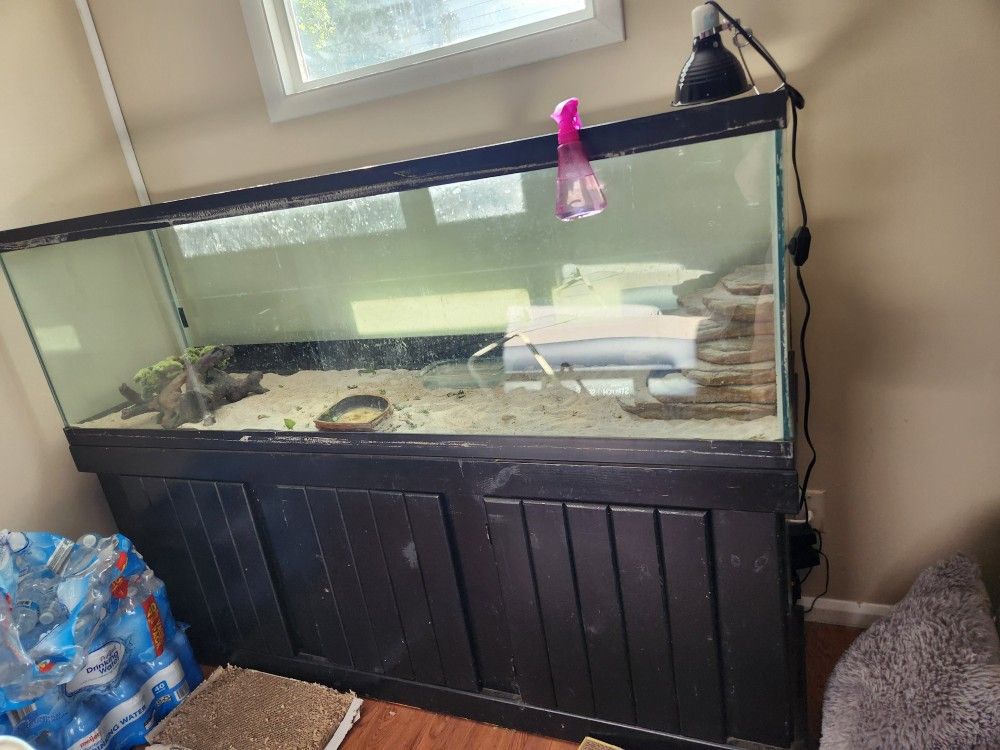 Reptile Tank