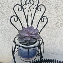 Metal Bicycle And Succulent Planter