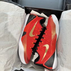 Basketball Shoe Size 11