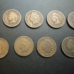 Nine Little Indians - A Group Of Indian Cents In Good Condition 