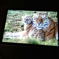 Used And In Perfect Condition. Works Great.Samsung Galaxy  Book 2 128GB.Silver.