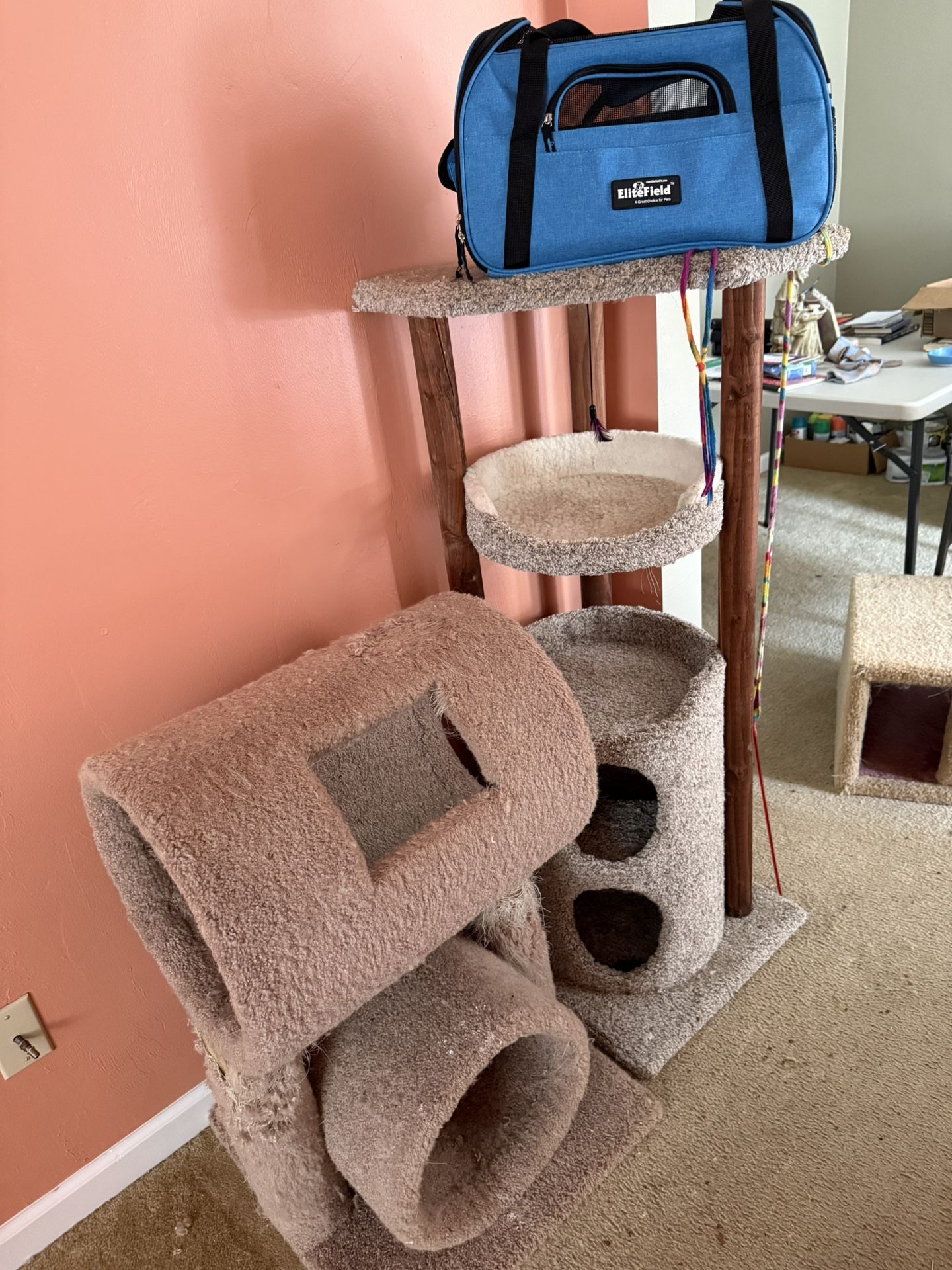 Cat Towers and Small Pet Carrier