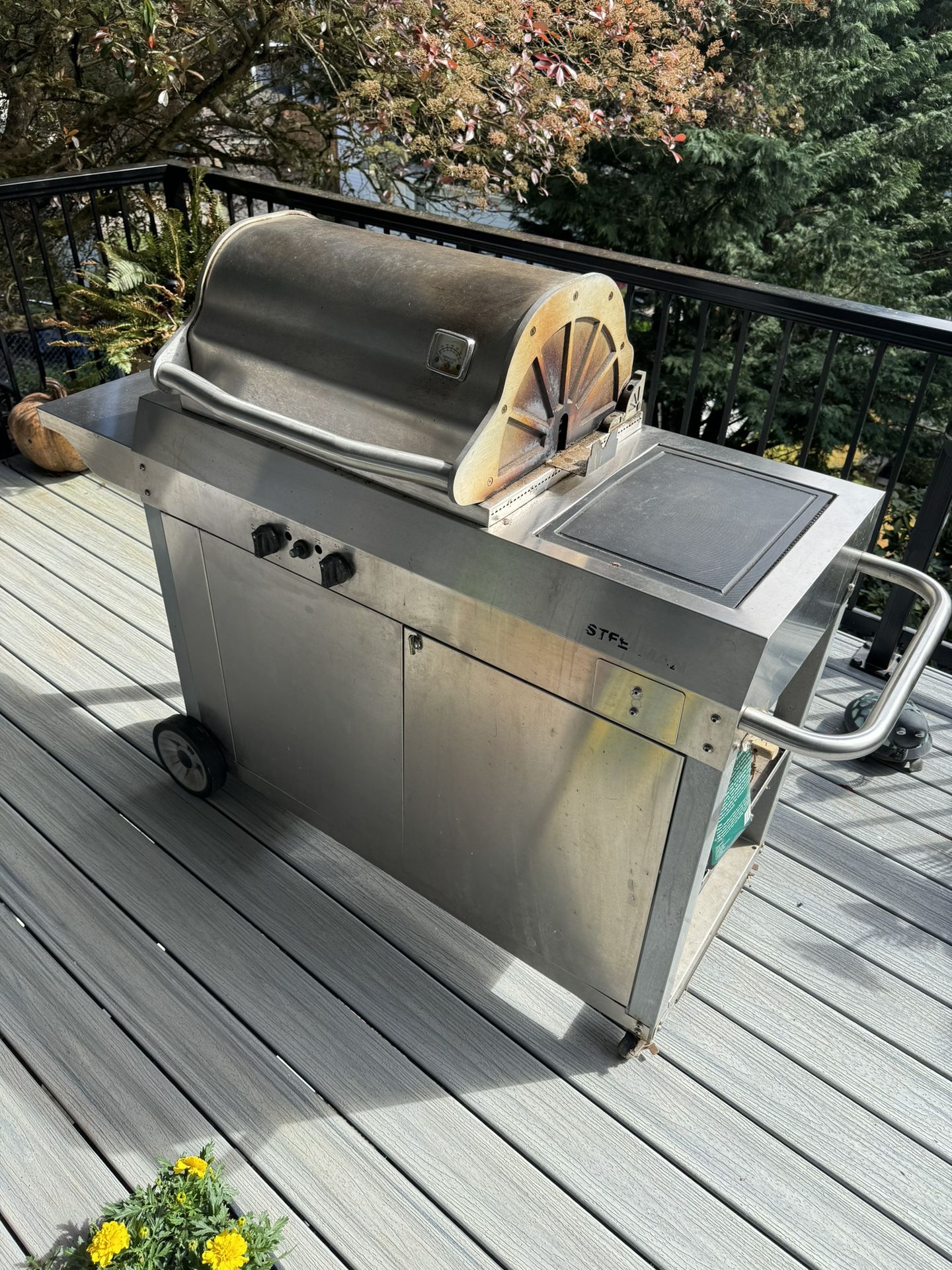 Stainless BBQ