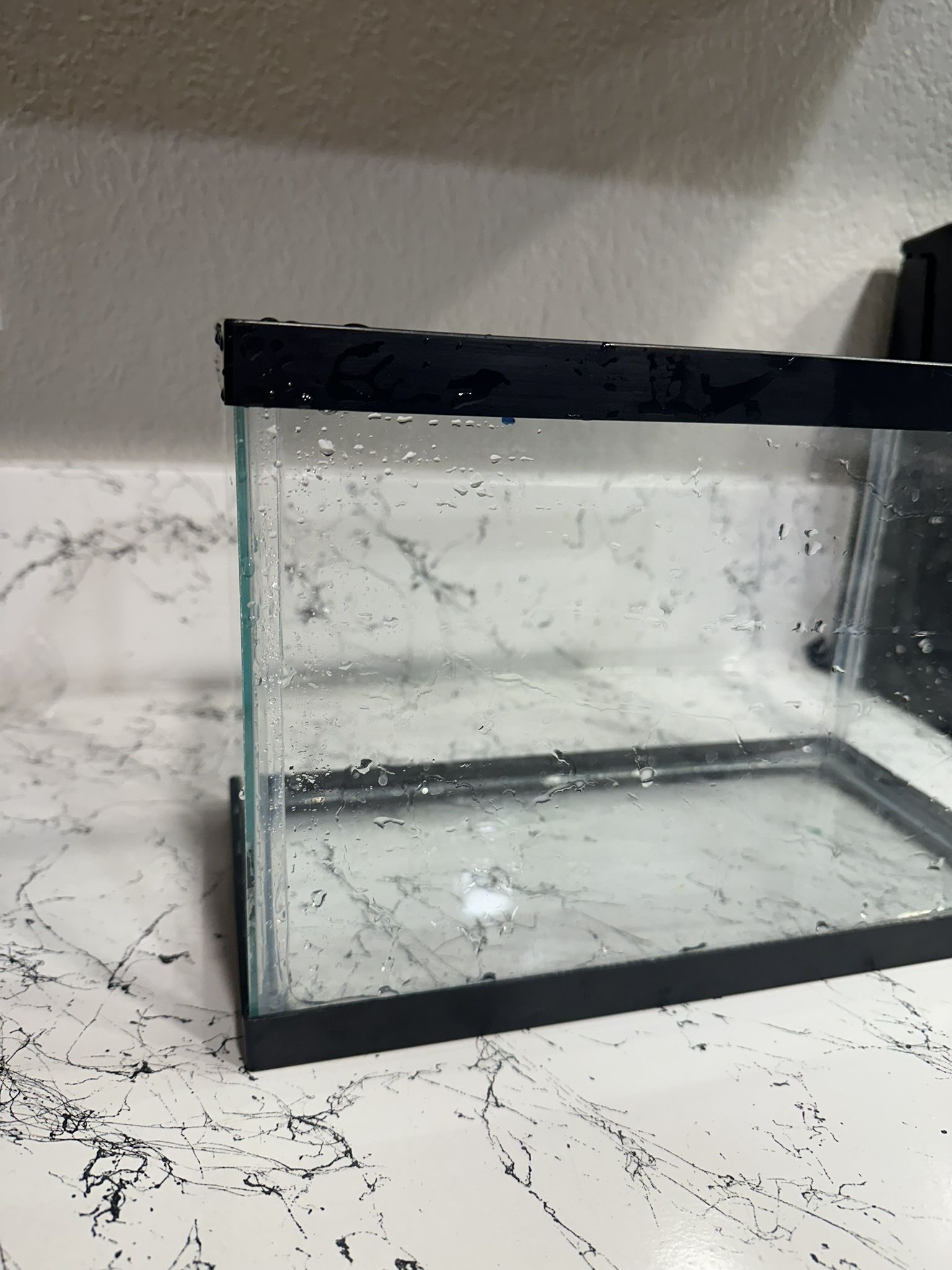 Free Fish Tank 5 Gallon