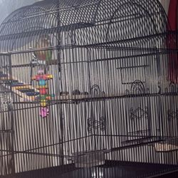 Bird Cage 
