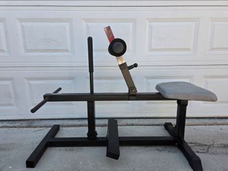 Weight Strong Body Solid Seated Calf Machine
