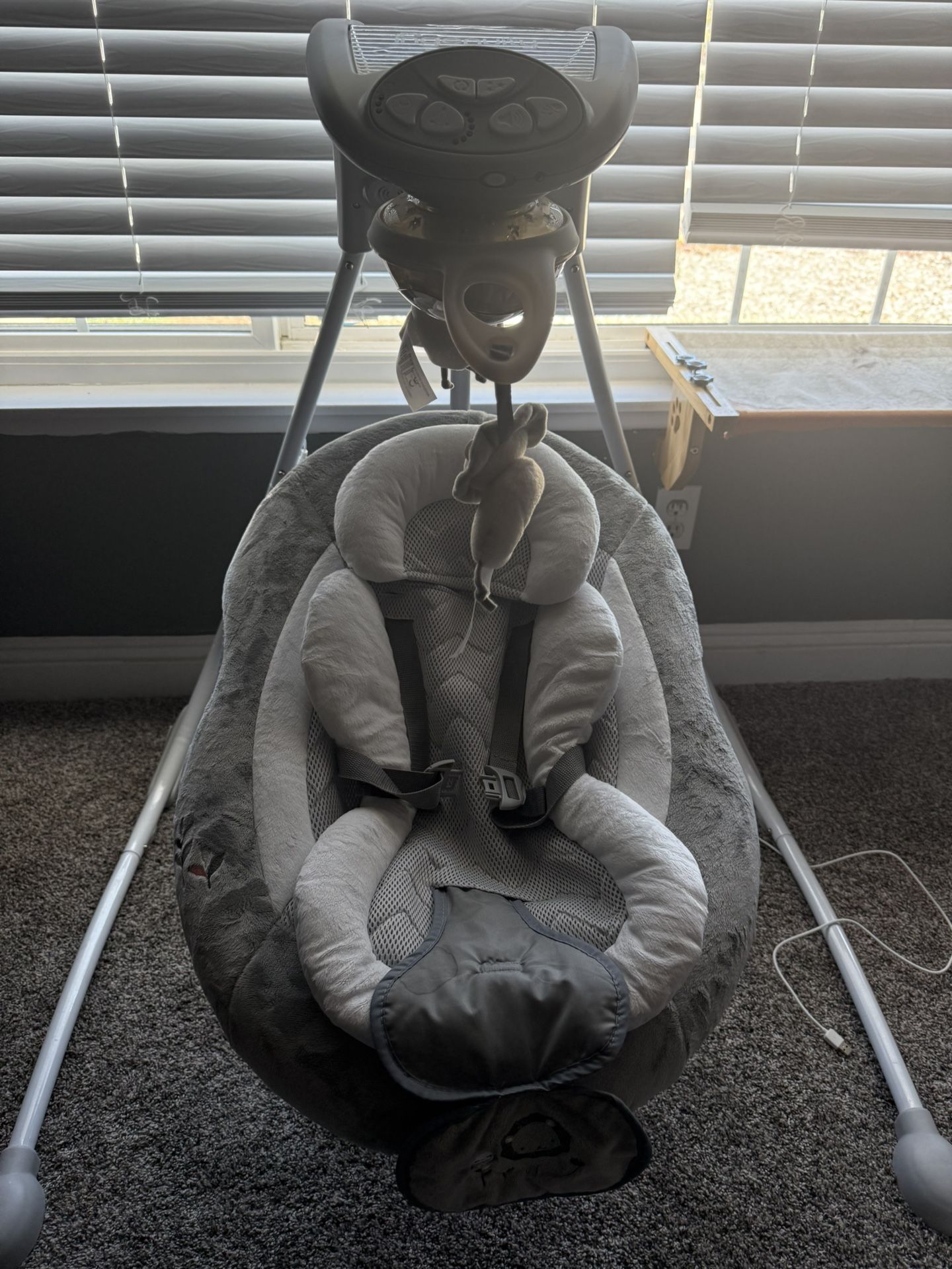 Ingenuity Baby Swing