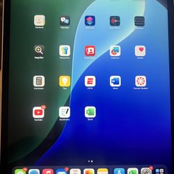 iPad Pro 4