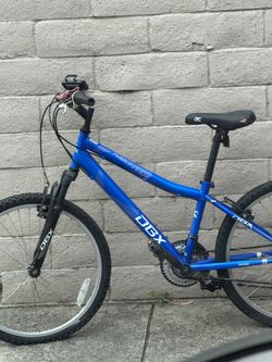 DBX Resonance Mountain Bike