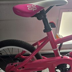 REI 16in Co-op Bike