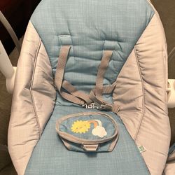 Ingenuity Canopy Swing 