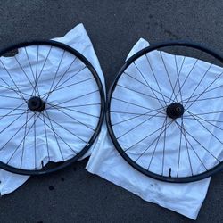 Giant AM 29 Wheelset Microspline