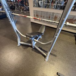 Life Fitness Olympic Incline Bench Press Rack 