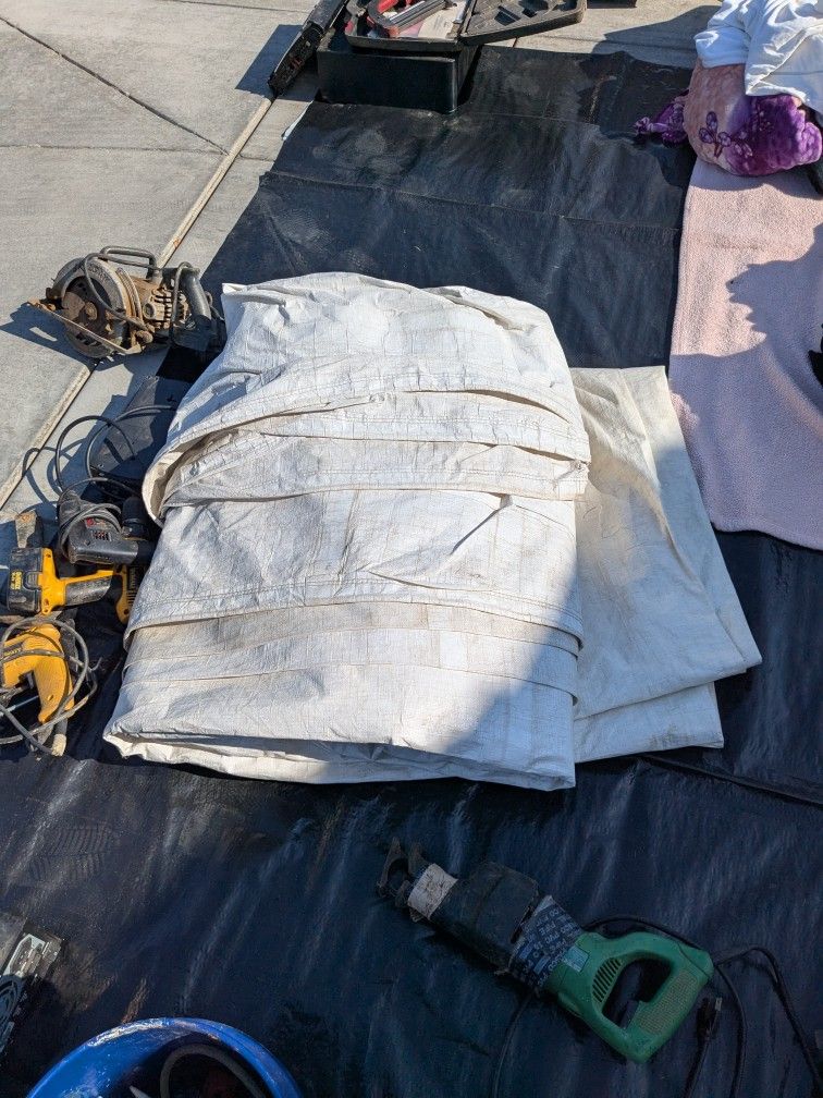 Tarp