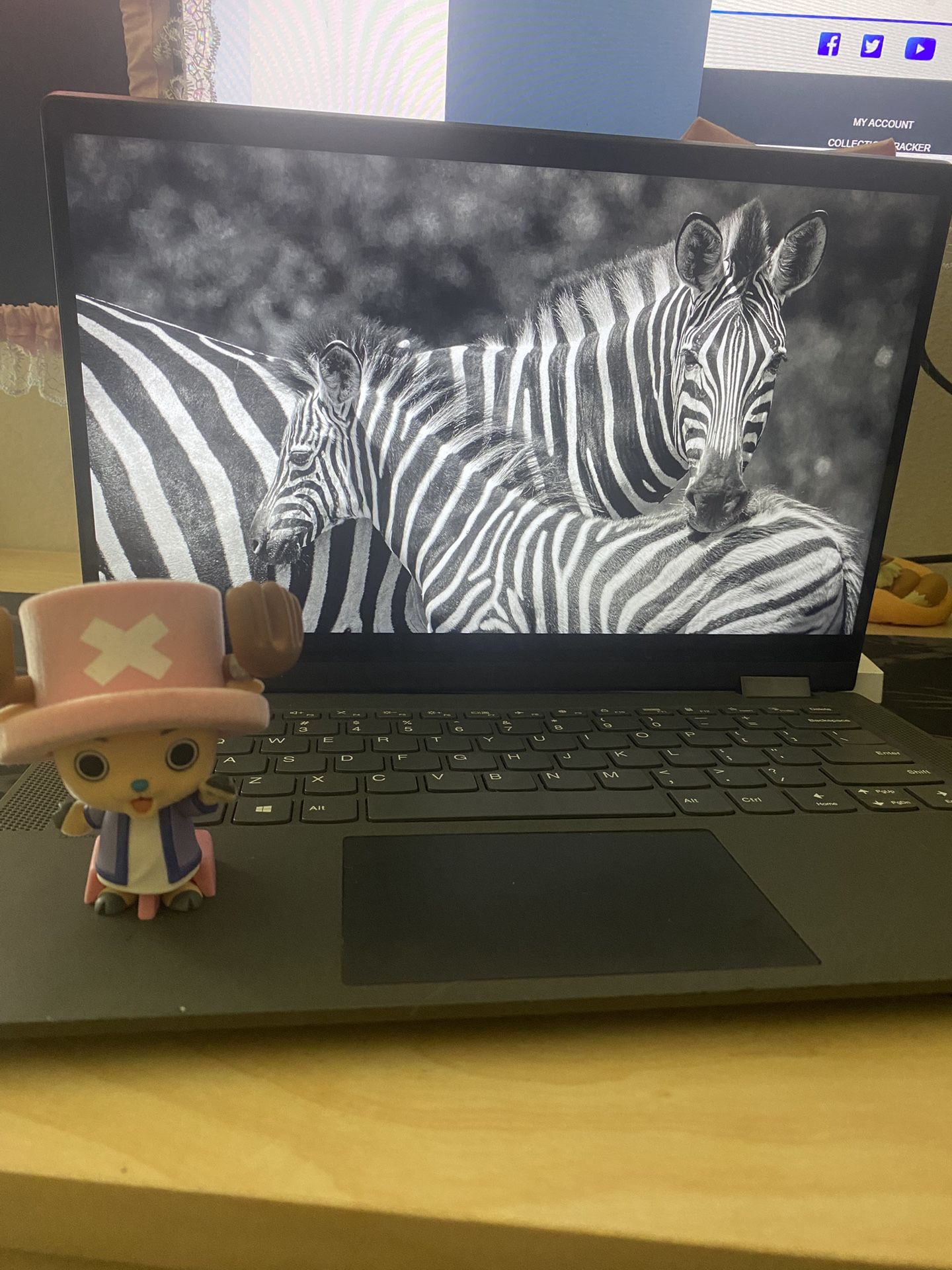 16 “ lenovo laptop