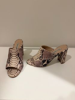 Steve Madden Snake Print Block Heel Mules