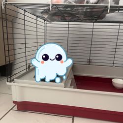 Rabbit/Bunny Cage 