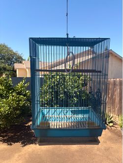 Birdcage