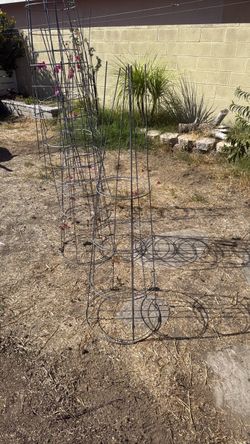 Tomatoe cages