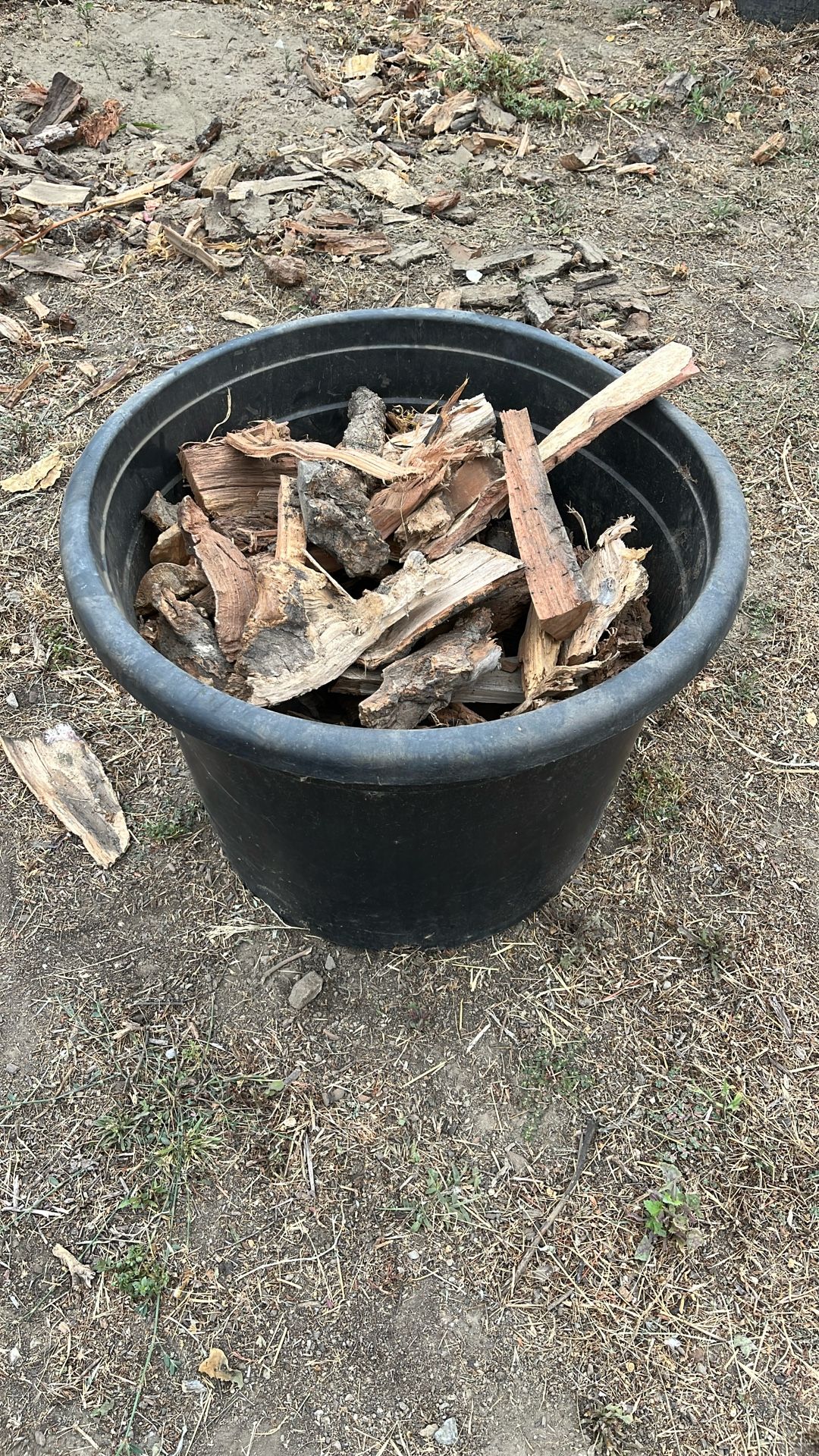 Firewood