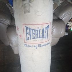 Everlast Heavy Punching Bag