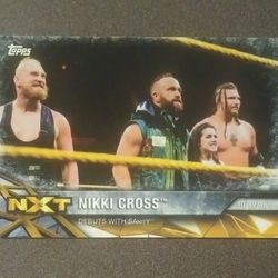 2017 Topps Nikki Cross NXT-23 Debuts With Sanity #23  WWE Women's Division Wrestle World Wrestling Sports Collectible Trading Pro Professional