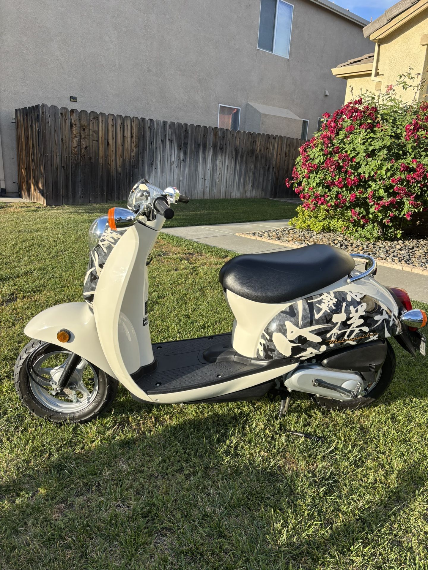 Honda Moped Scooter
