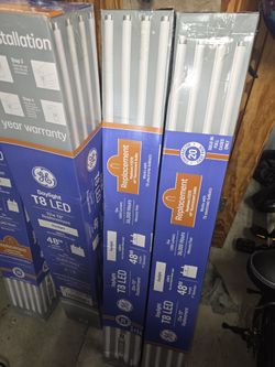LED T8 Daylight 4ft Bulbs $40 Per Case