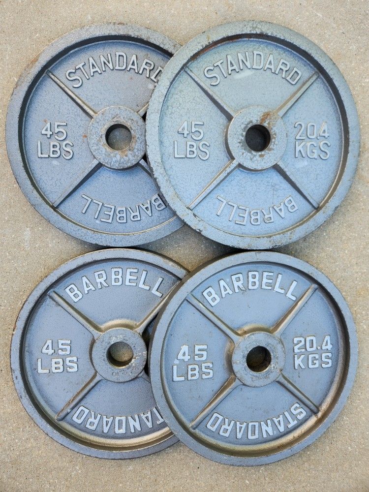 Gray Olympic Weight Plates 45s