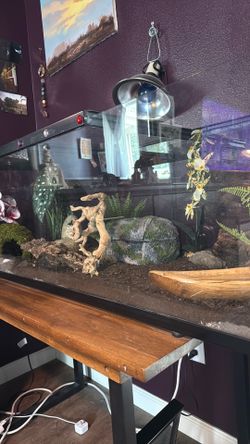 Reptile inclosure
