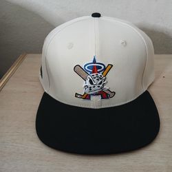 Ducks-Angels snapback hat. Worn once