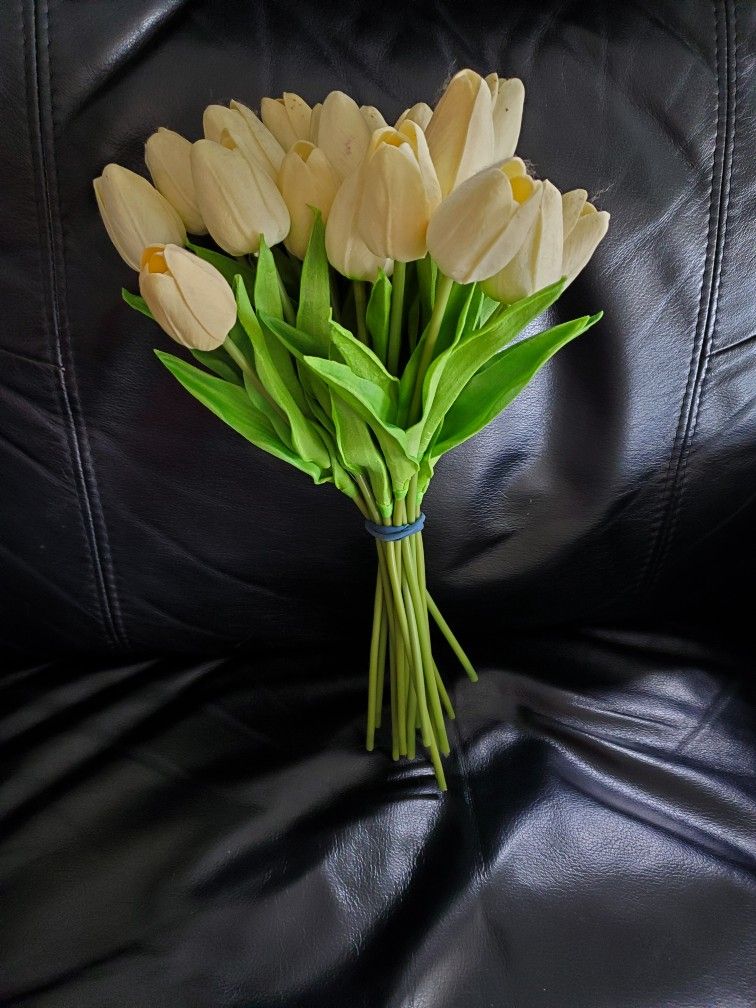 19 Ivory Color Soft Tulips
