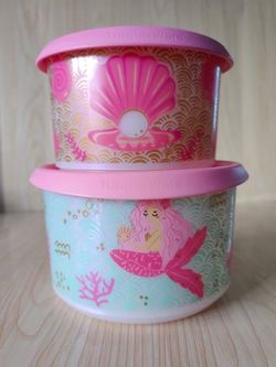 Set tupperware
