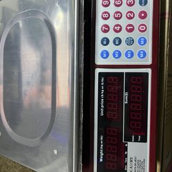 CAMRY DIGITAL COMMERCIAL PRICE SCALE 33LB