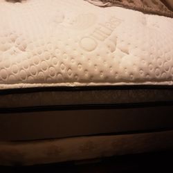 Free Queen Mattress An Boxspring