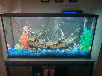 55 gallon fish tank with stand and all accessories