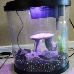 Top Fin Fish Tank 3.5 Gallons