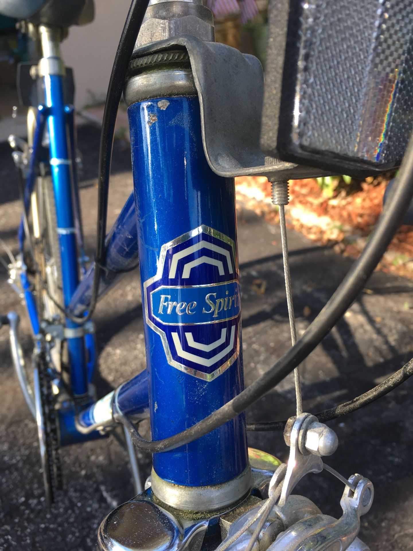 Dynasty Free Spirit Road Bike for Sale in Palm Harbor FL OfferUp