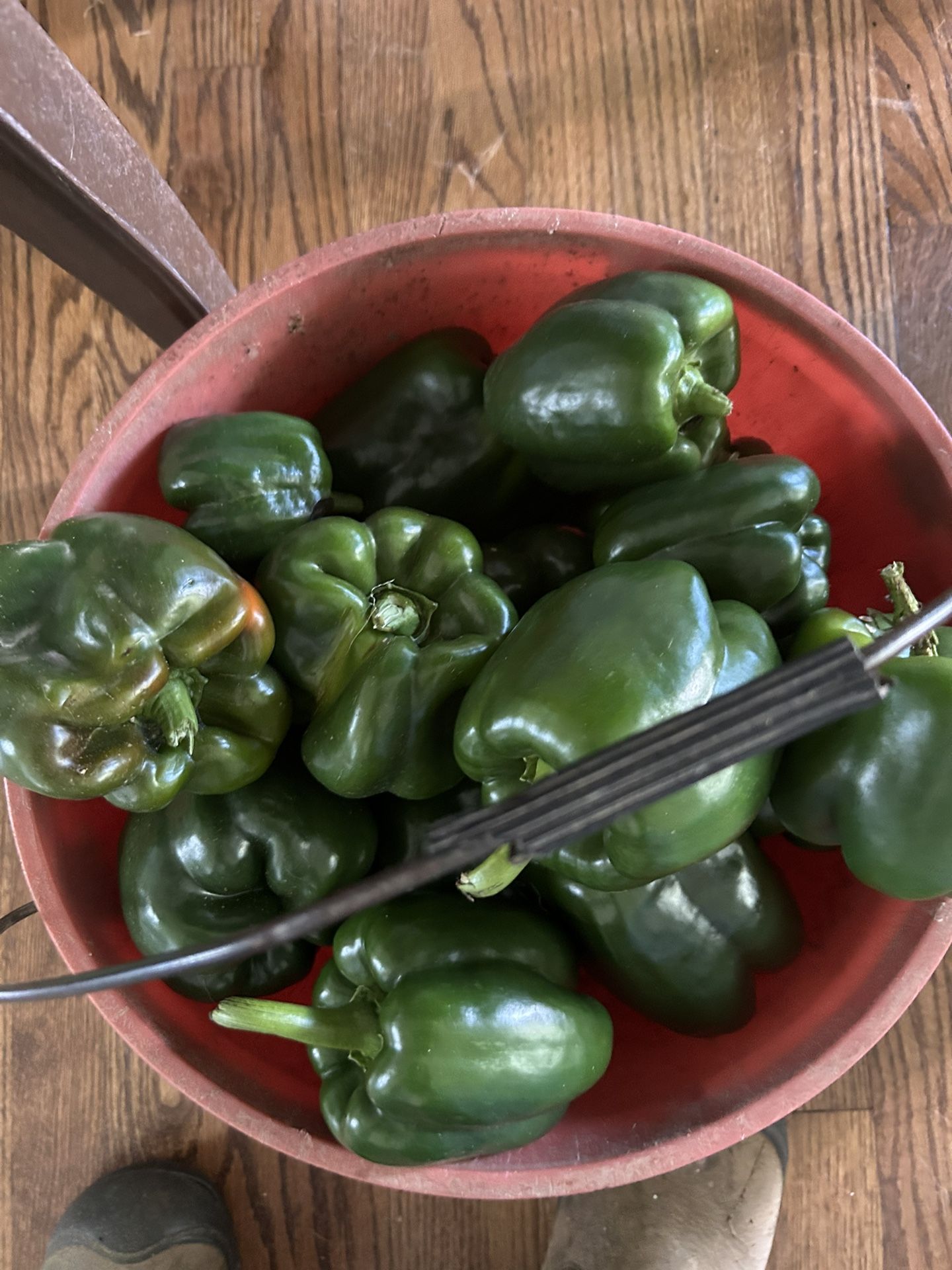 3/4 Bushel Bell Peppers $25