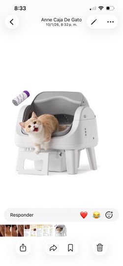 Caja de gato
