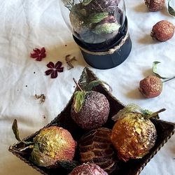 50 Holiday Happening Fall Copper Brushed Fruit Floral Stems 