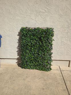 Privacy screen