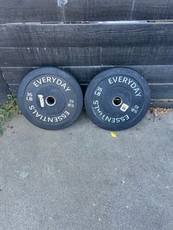 Everyday Essentials 35 LB Bumper Plates Pair