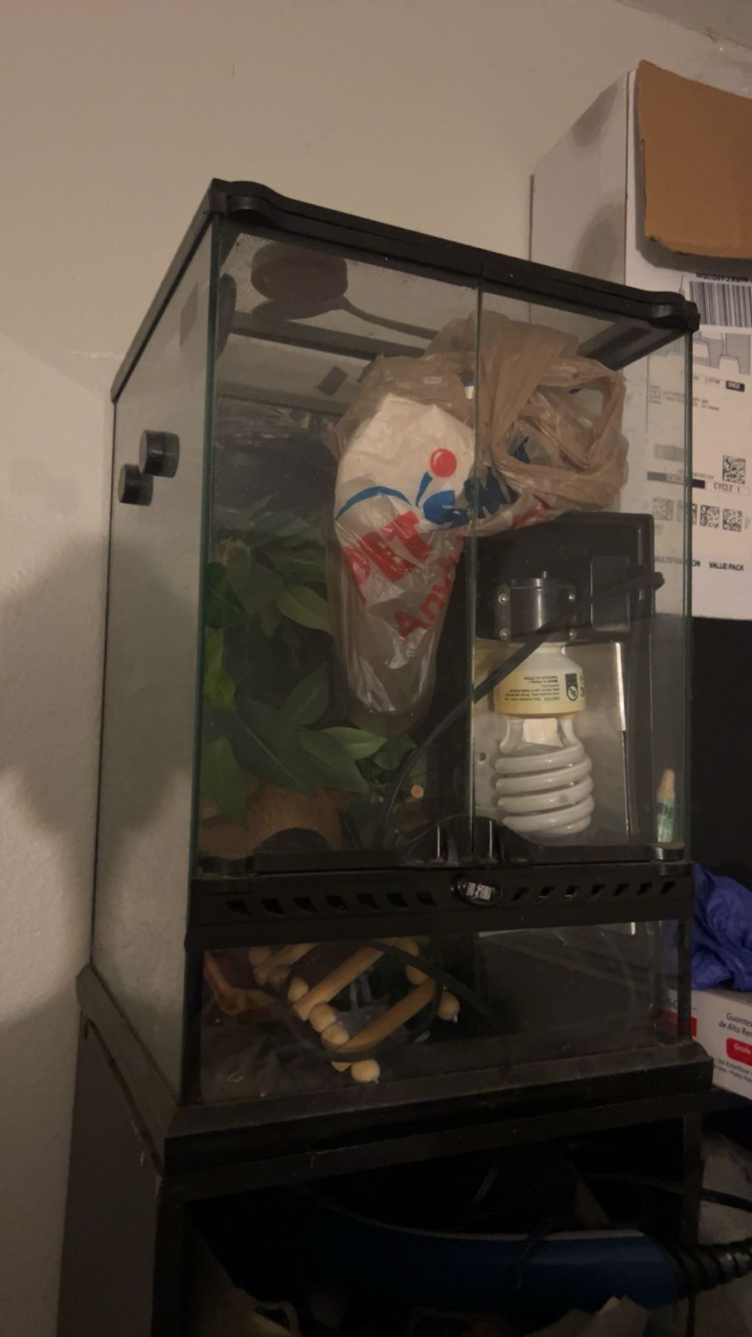 complete crested gecko setup or other reptiles